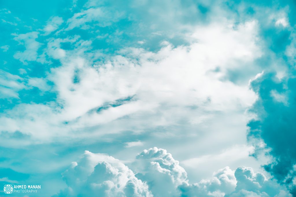 August Photo Post 5 - Mukto Manan